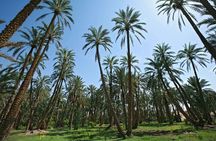 From Djerba Zarzis 6 days at the Discovery of Southern Tunisia