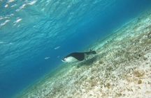 Snorkeling adventure in El Cielo, El Cielito, Palancar and Colombia.