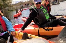 Blue Springs 4 Hour manatee Kayak Tour
