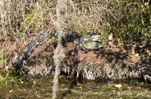 Alexander Springs 4 Hour Guided Kayak/ Swim/ Snorkel Adventure