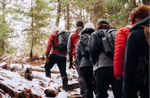 Epic Views of Lake Tahoe on a Guided Nature Hike
