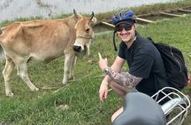 Hoi An countryside cycling Tour,Basket Boat-organic farming-lunch