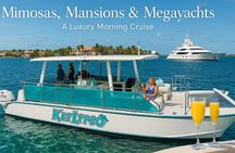 Mimosas, Mansions & Megayachts Tour