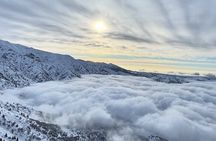 Tashkent Tour at Amirsoy, Chimgan Mountains and Charvak lake