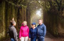 Anaga Hidden Gems Hiking Tour. Free Pick-up. 