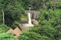Best Full Day Of Ubud Private Guided Tour