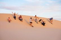 Airport to Desert Doha Transit Safari Tour Camel Ride and ATV