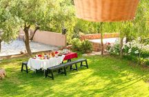 Lunch with a Panoramic View of the Atlas Mountains