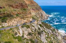 Cape of Good Hope & Boulders Penguins Full-Day Tour