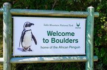 Private Cape Highlights Tour: Peninsula, Penguins & Winelands