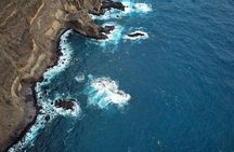 Table Mountain, Cape Point & Penguins Shared Tour