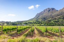 Private Cape Highlights Tour: Peninsula, Penguins & Winelands