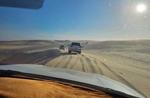 Private Doha Desert Safari: Dune Bashing & Inland Sea