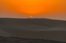 Doha Night Desert Quest and Camel Ride