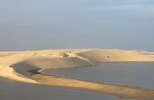 Doha Half-Day Desert Safari with Dune Bashing Camel Ride 