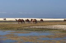 West of Salalah and City Gems(private tour)