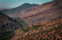 Lunch with a Panoramic View of the Atlas Mountains