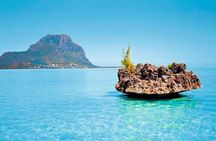 Dolphin, Crytal rock & Ile Aux Benetiers - Fullday Tours