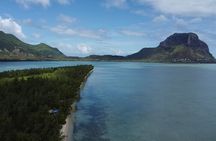 Dolphin, Crytal rock & Ile Aux Benetiers - Fullday Tours