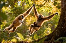 2-Day Hoolock Gibbons Wildlife Tour from Guwahati