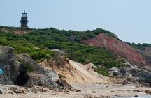 Martha's Vineyard Private 4 hour Tour for groups up to 6 people