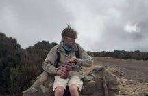 Kilimanjaro Day Trip Hiking; Unforgettable experience