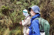 Kilimanjaro Day Trip Hiking; Unforgettable experience