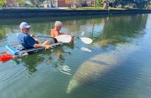 Crystal River Florida: Clear Kayak Guided Manatee Eco-Tour
