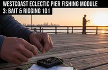 Learn to Pier Fish: Beginner Groups 2-6 persons (No license)