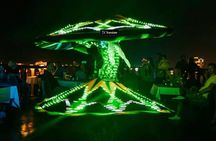 Night Dubai City Tour with VIP Dinner Cruise Russian Group 