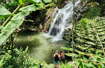 Full Day Marinka Waterfall and Sierra Minca