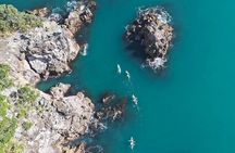 Whenuakura Island Kayak Adventure Guided Tour
