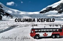 Jasper Day Tour to Columbia Icefields Lakes from Calgary to Banff