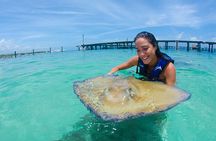 Sharks & Stingrays Snorkeling in Punta Cana with Parasailing