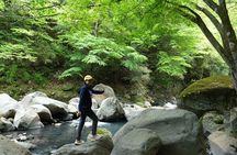 Hakone Valley Hike, Forest Bathing and Wagashi shop (Half-day)