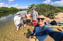 Fort Lauderdale: Kayak and Paddleboard Mangroves Eco Adventure
