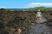 Wailea Wildlife Tour with Snorkeling + Photos Included