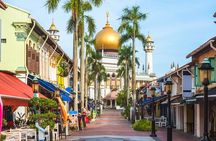 Private Singapore Tour Chinatown with Little India and Kampong