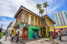 Private Singapore Tour Chinatown with Little India and Kampong