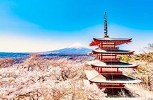 Custom Private Mt Fuji Day Tour from Tokyo