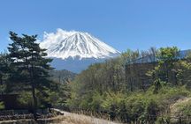 Custom Private Mt Fuji Day Tour from Tokyo
