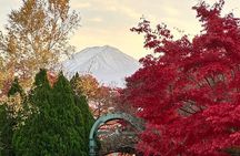 Custom Private Mt Fuji Day Tour from Tokyo