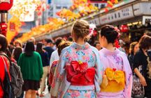 Tokyo Private Tour with English Pro Guide in Luxury Vehicle