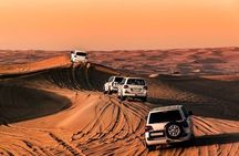 Doha Desert Safari Sand Boarding Camel Ride and Inland Sea Tour