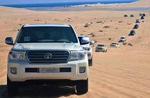 Doha Desert Safari Sand Boarding Camel Ride and Inland Sea Tour