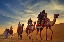 Doha Desert Safari Sand Boarding Camel Ride and Inland Sea Tour