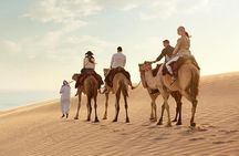 Doha Desert Safari, ATV, Camels, Sandboarding and Inland Sea Tour