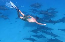 Hurghada Private Red Sea Tour Adventure