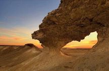 Full Day Tour to North and West Qatar with Pickup from Doha