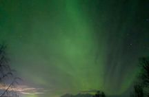 Northern Lights Walk to Old Kemi with BBQ and Arctic Views